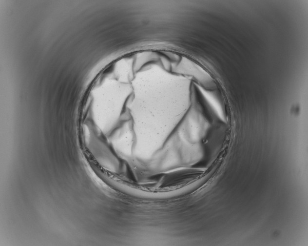 X0000113991438200910231720