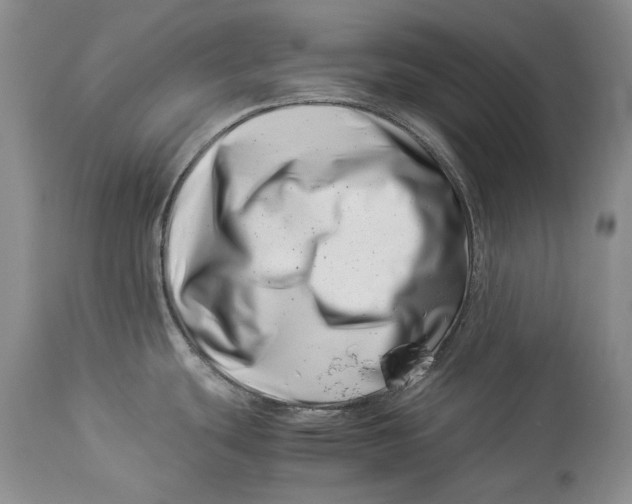 X0000113991439200910231720