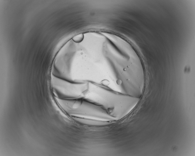 X0000113991440200910231720