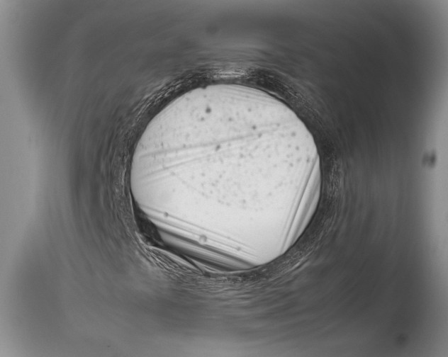 X0000113991441200910231719