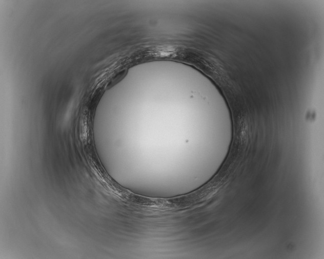 X0000113991442200910231719