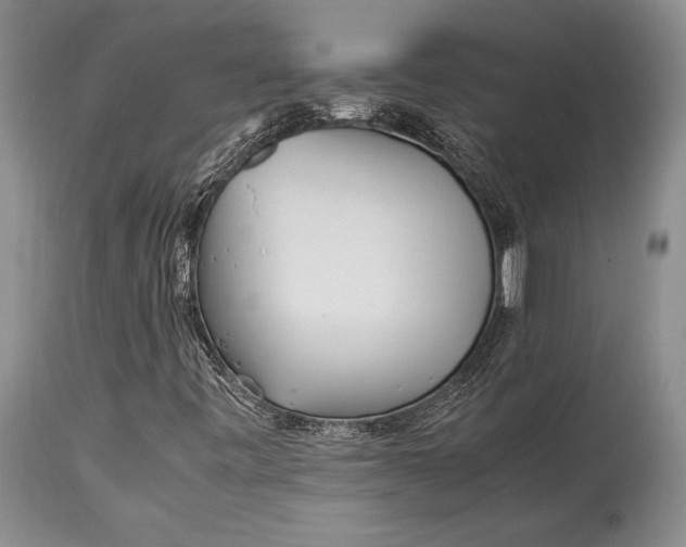 X0000113991443200910231719