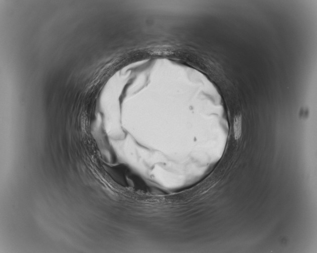 X0000113991444200910231719