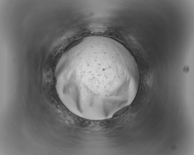 X0000113991445200910231719