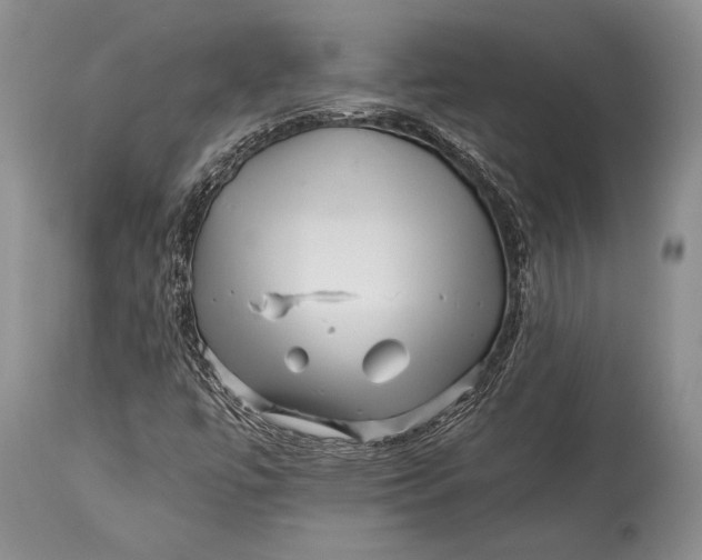 X0000113991447200910231719