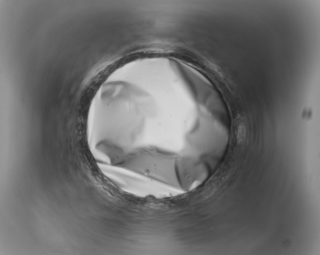 X0000113991448200910231719