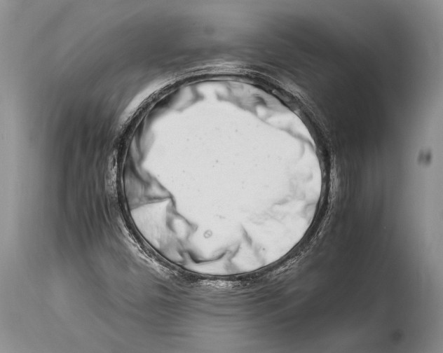 X0000113991450200910231719