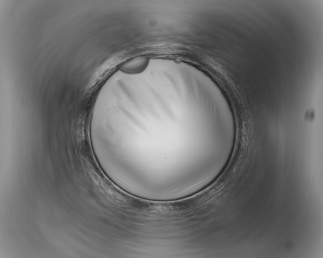 X0000113991451200910231719