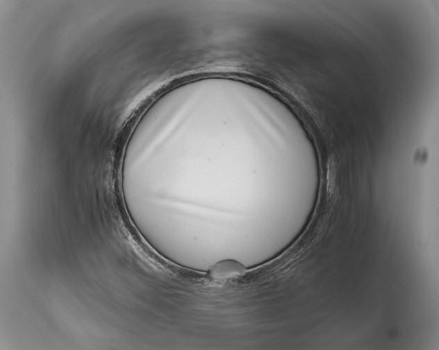 X0000113991452200910231719