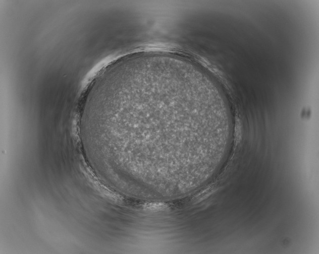 X0000113991454200910231719