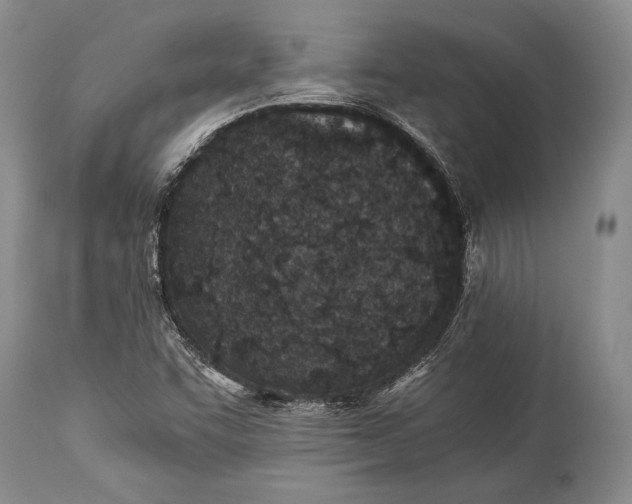 X0000113991455200910231719