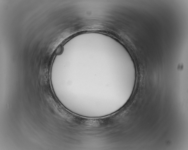 X0000113991457200910231719