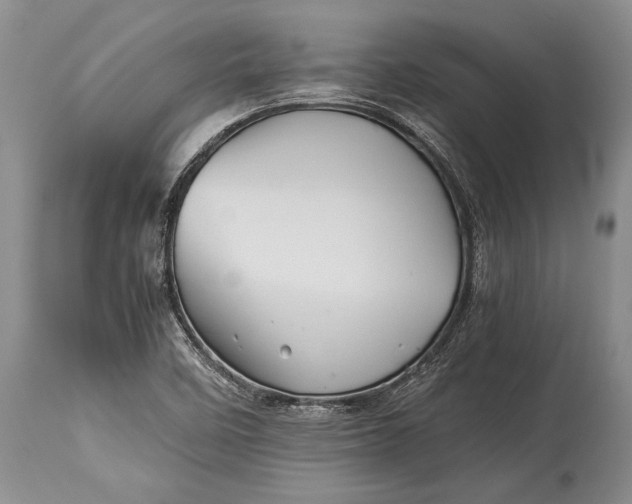 X0000113991458200910231719