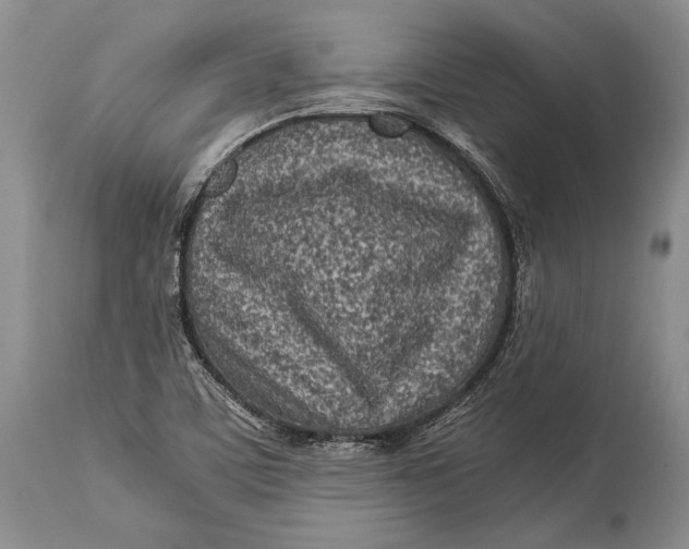 X0000113991459200910231719