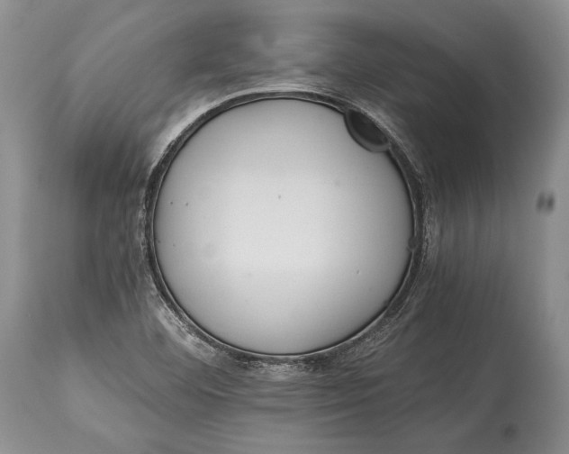 X0000113991460200910231719