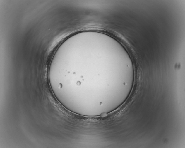 X0000113991461200910231719