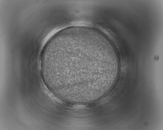 X0000113991462200910231719