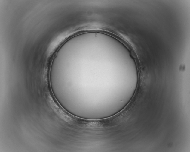 X0000113991464200910231719