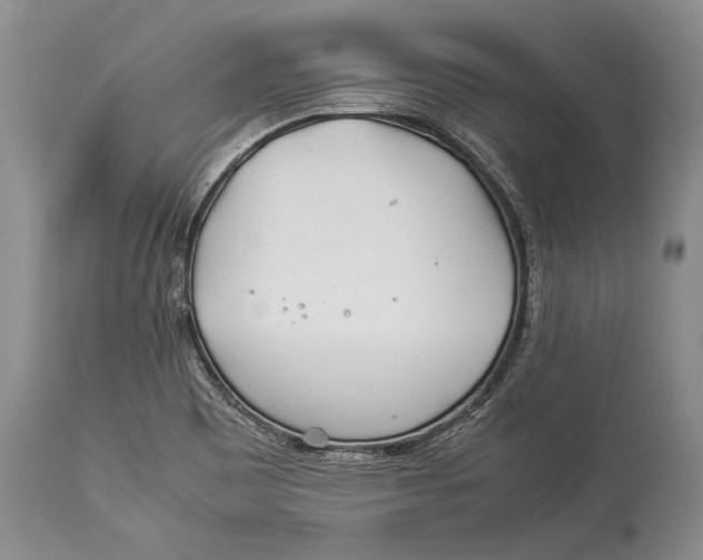 X0000113991465200910231719