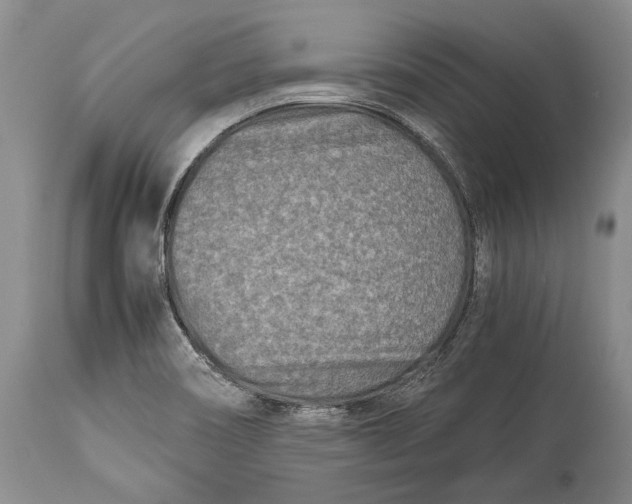 X0000113991466200910231719