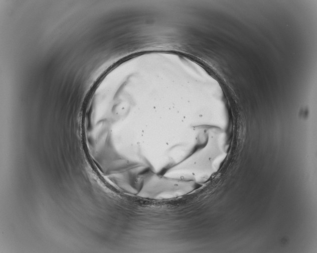 X0000113991468200910231719