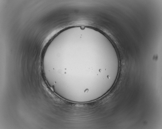 X0000113991469200910231719