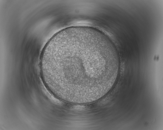 X0000113991470200910231719