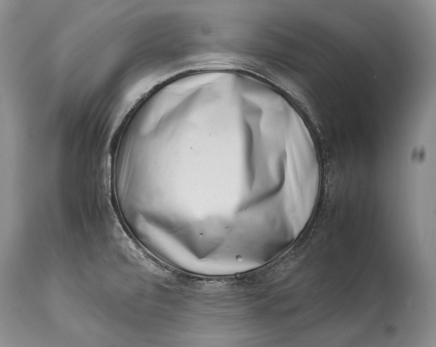 X0000113991472200910231719