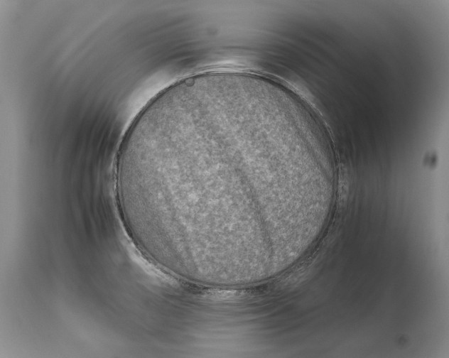 X0000113991474200910231719