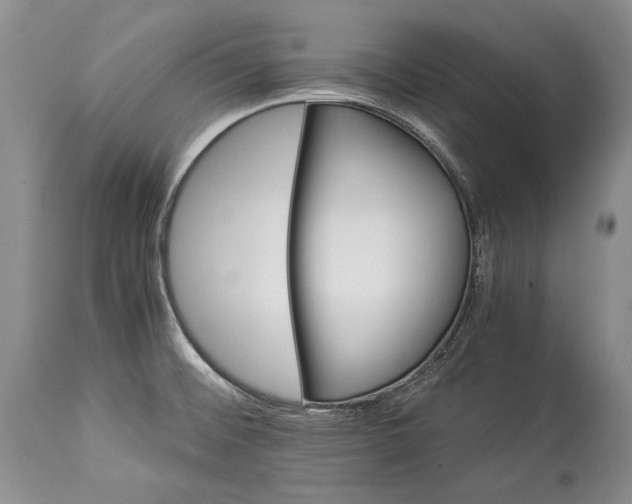 X0000113991476200910231719