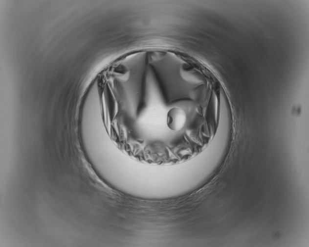 X0000113991477200910231719