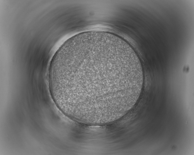 X0000113991478200910231719