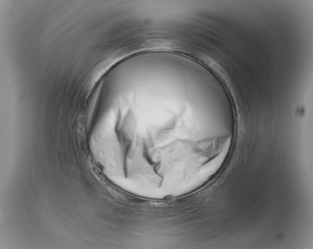 X0000113991481200910231719