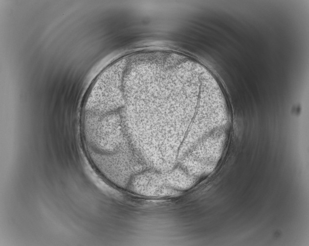 X0000113991482200910231719