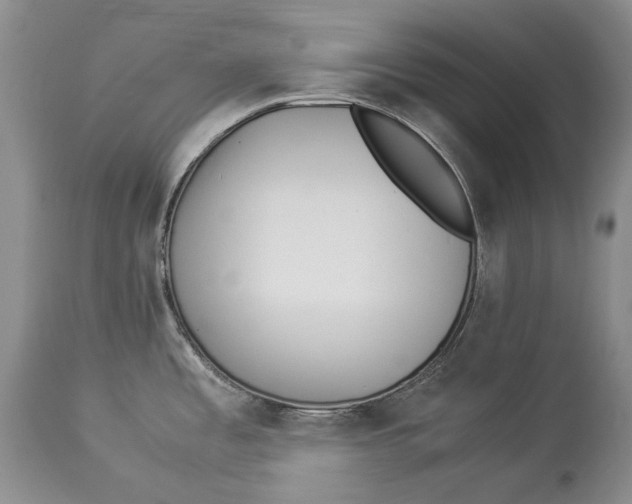 X0000113991485200910231719