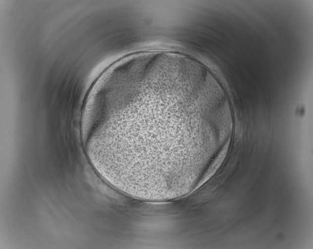 X0000113991486200910231719