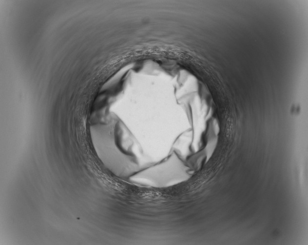 X0000113991489200910231718