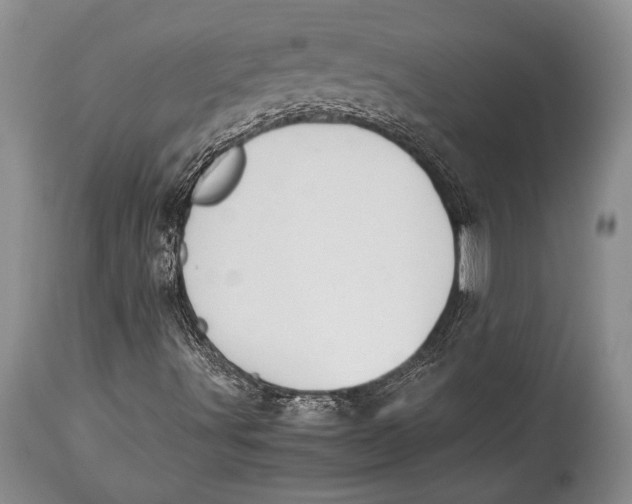 X0000113991491200910231718