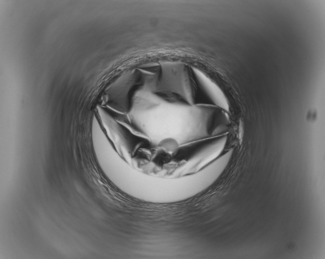 X0000113991492200910231718