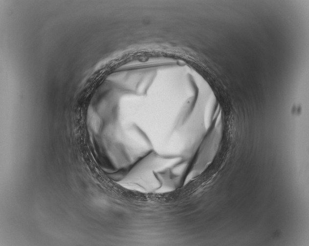 X0000113991494200910231718