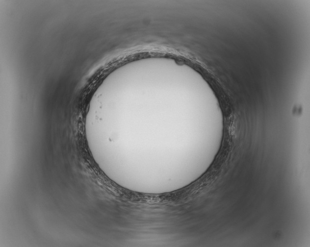 X0000113991495200910231718