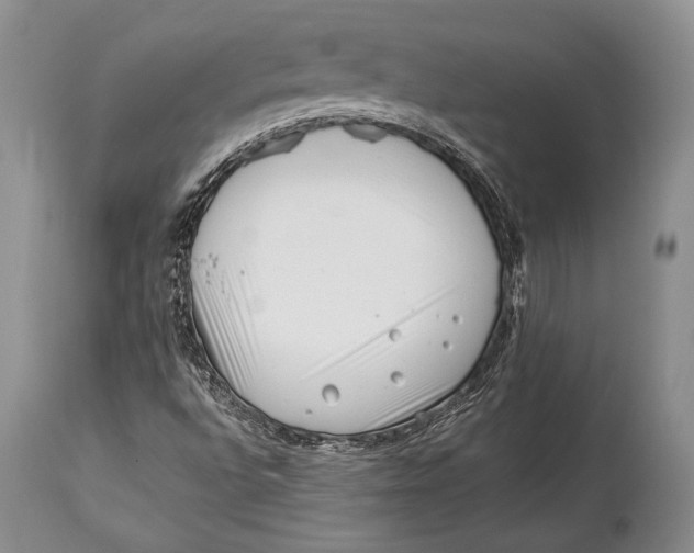 X0000113991496200910231718