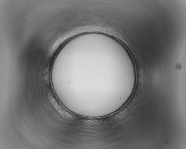 X0000113991499200910231718