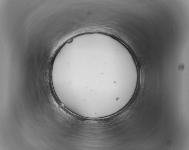 X0000113991500200910231718