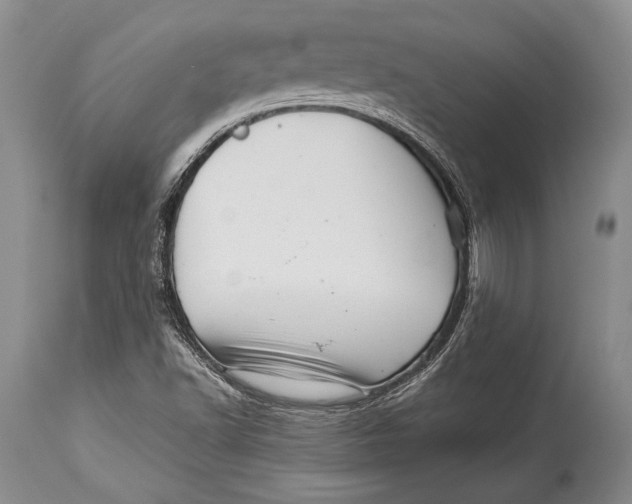 X0000113991502200910231718