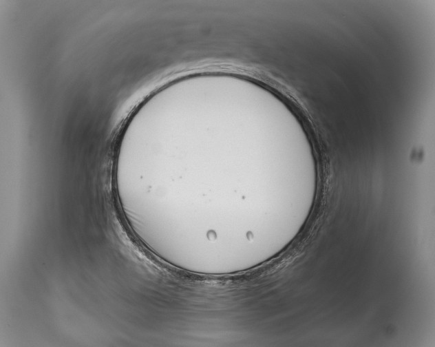 X0000113991504200910231718