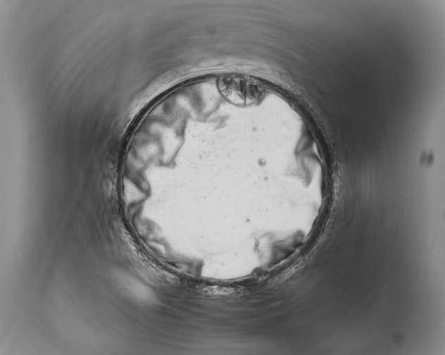 X0000113991505200910231718