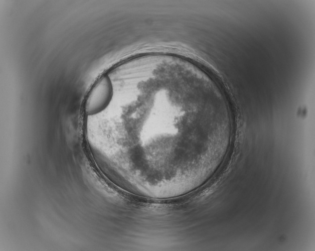 X0000113991506200910231718