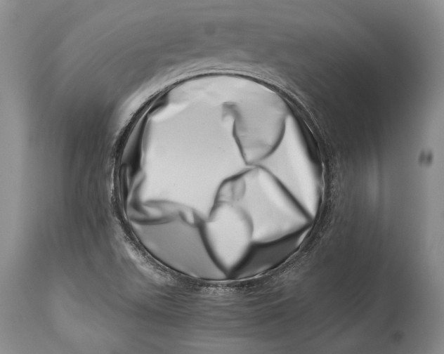 X0000113991511200910231718