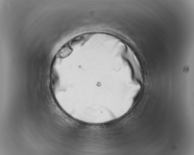 X0000113991512200910231718